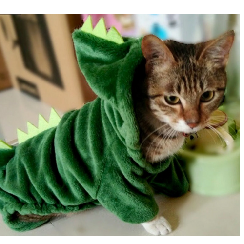 Dinosaur Cat and Dog Costume